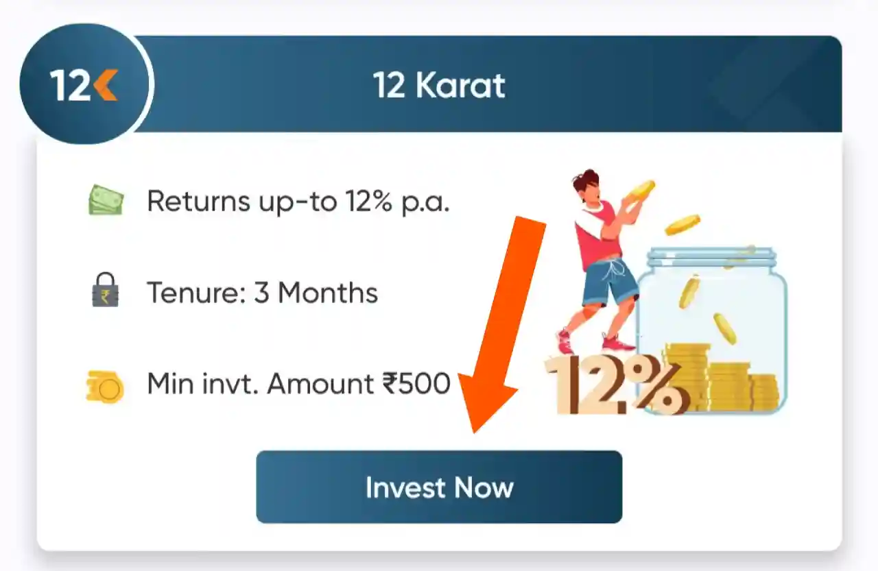 13 Karat 12K Investment Plan