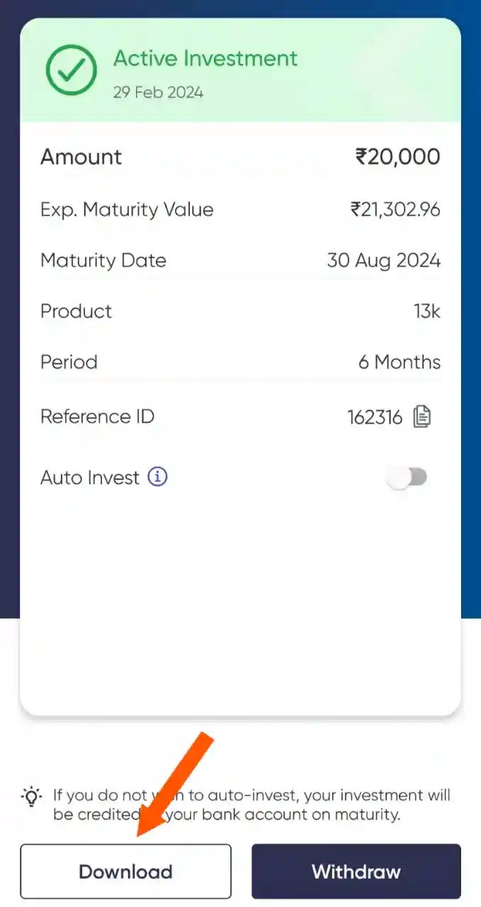 13 Karat investment slip